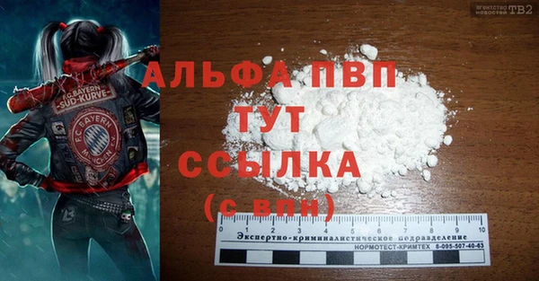 ПСИЛОЦИБИНОВЫЕ ГРИБЫ Лихославль