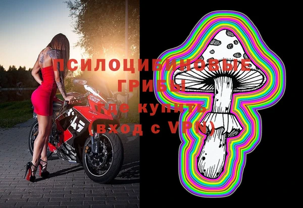 ПСИЛОЦИБИНОВЫЕ ГРИБЫ Лихославль