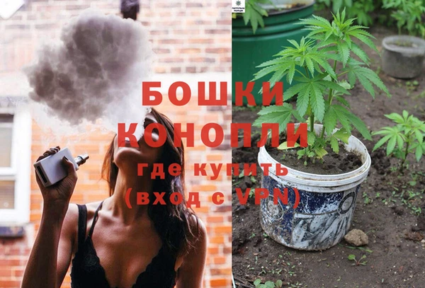ПСИЛОЦИБИНОВЫЕ ГРИБЫ Лихославль