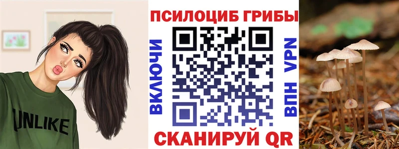 Купить  Похвистнево  Псилоцибиновые грибы GOLDEN TEACHER 