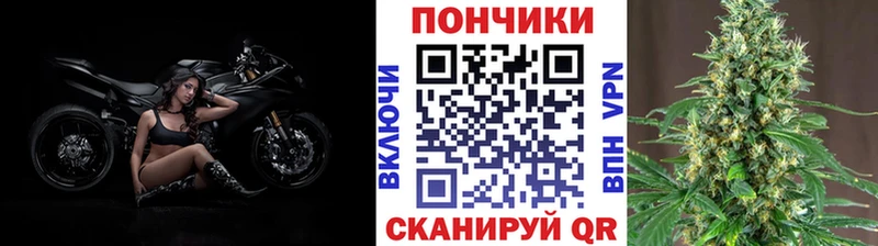 Купить  Похвистнево  Бошки Шишки MAZAR 